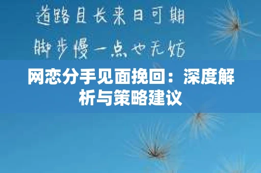 网恋分手见面挽回：深度解析与策略建议
