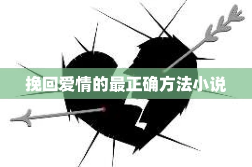 挽回爱情的最正确方法小说