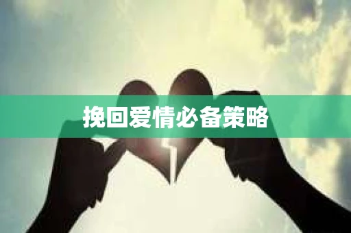 挽回爱情必备策略