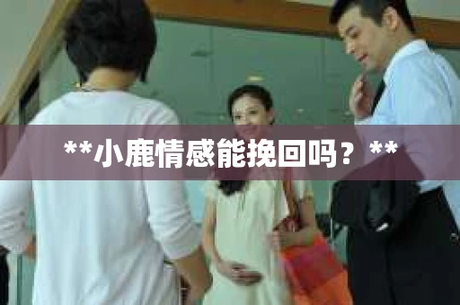 **小鹿情感能挽回吗？**