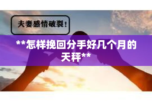 **怎样挽回分手好几个月的天秤**