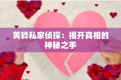黄骅私家侦探：揭开真相的神秘之手