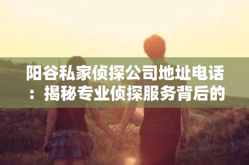阳谷私家侦探公司地址电话：揭秘专业侦探服务背后的故事