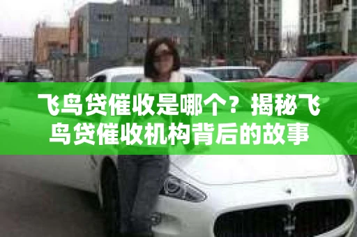 飞鸟贷催收是哪个？揭秘飞鸟贷催收机构背后的故事