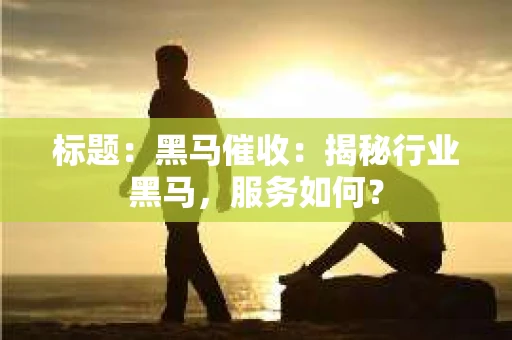 标题：黑马催收：揭秘行业黑马，服务如何？