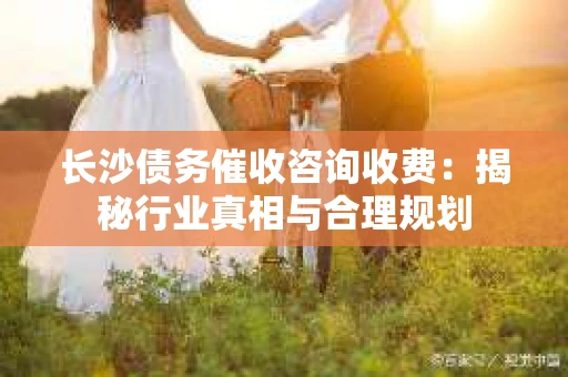 长沙债务催收咨询收费：揭秘行业真相与合理规划