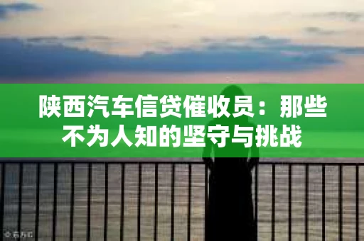 陕西汽车信贷催收员：那些不为人知的坚守与挑战