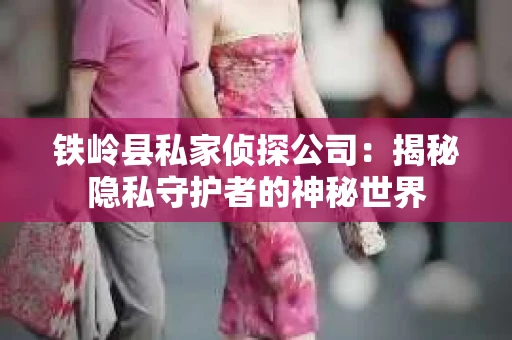 铁岭县私家侦探公司：揭秘隐私守护者的神秘世界