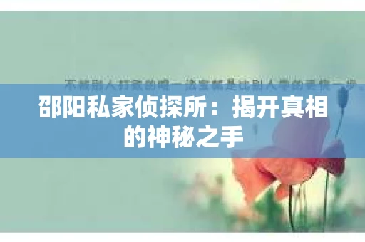 邵阳私家侦探所：揭开真相的神秘之手