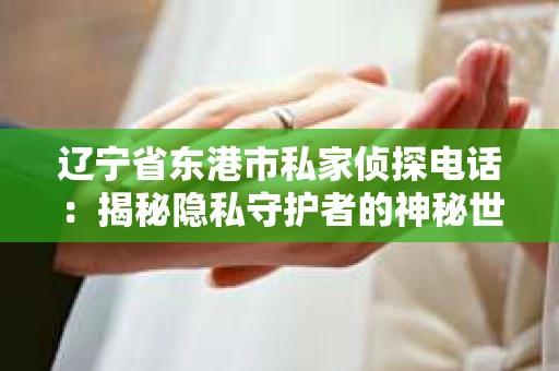 辽宁省东港市私家侦探电话：揭秘隐私守护者的神秘世界