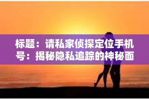标题：请私家侦探定位手机号：揭秘隐私追踪的神秘面纱