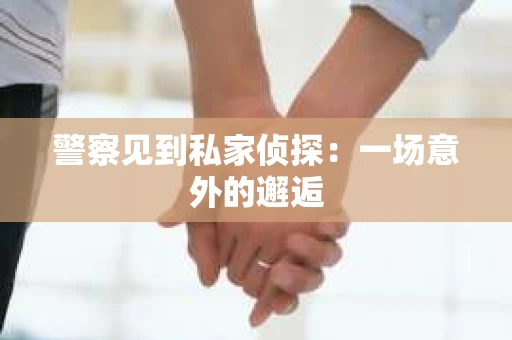 警察见到私家侦探：一场意外的邂逅