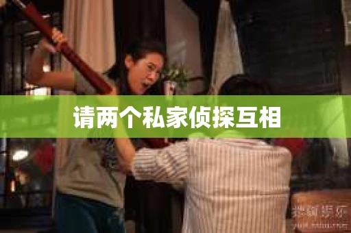 请两个私家侦探互相