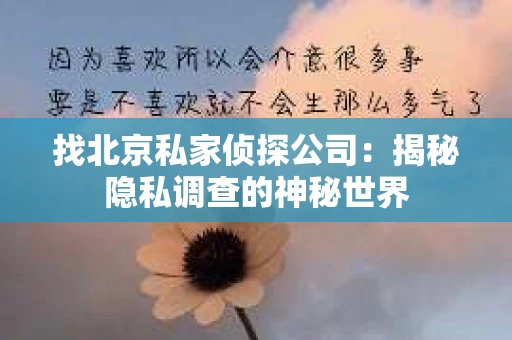 找北京私家侦探公司：揭秘隐私调查的神秘世界