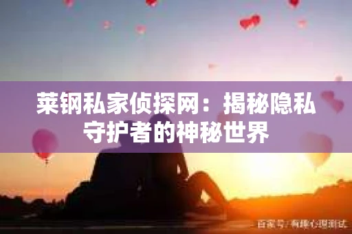 莱钢私家侦探网：揭秘隐私守护者的神秘世界