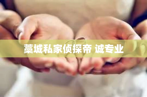 藁城私家侦探帝 诚专业