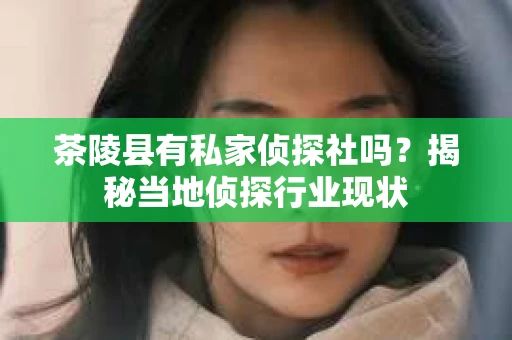 茶陵县有私家侦探社吗？揭秘当地侦探行业现状