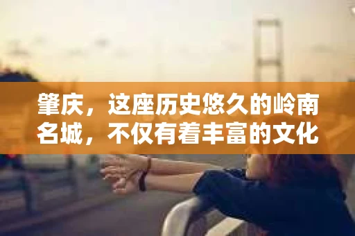 肇庆，这座历史悠久的岭南名城，不仅有着丰富的文化遗产，还有着独特的现代生活节奏。在这个城市里，你是否曾有过需要帮助解决一些棘手问题的时候？或许，你听说过肇庆有私家侦探，那么，他们究竟是怎样的存在呢？