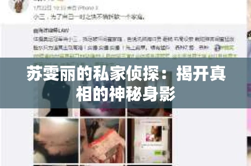 苏雯丽的私家侦探：揭开真相的神秘身影