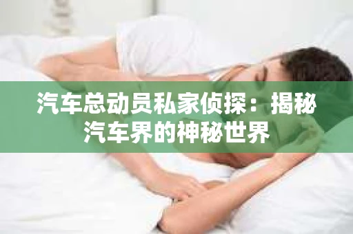 汽车总动员私家侦探：揭秘汽车界的神秘世界