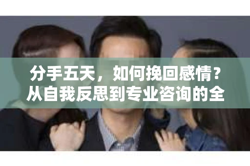分手五天，如何挽回感情？从自我反思到专业咨询的全面解决方案