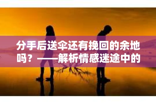 分手后送伞还有挽回的余地吗？——解析情感迷途中的决策