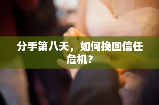 分手第八天,如何挽回信任危机? 分手第八天,如何挽回信任危机?