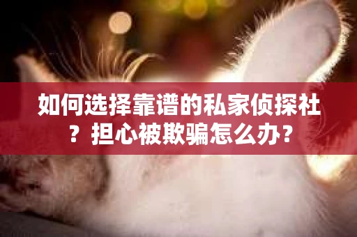 如何选择靠谱的私家侦探社？担心被欺骗怎么办？