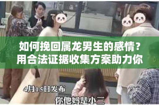 如何挽回属龙男生的感情？用合法证据收集方案助力你的努力？